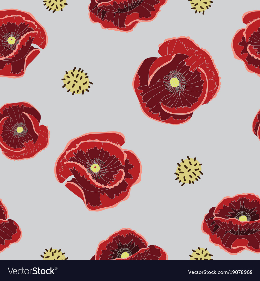 poppy flower pattern royalty free vector image