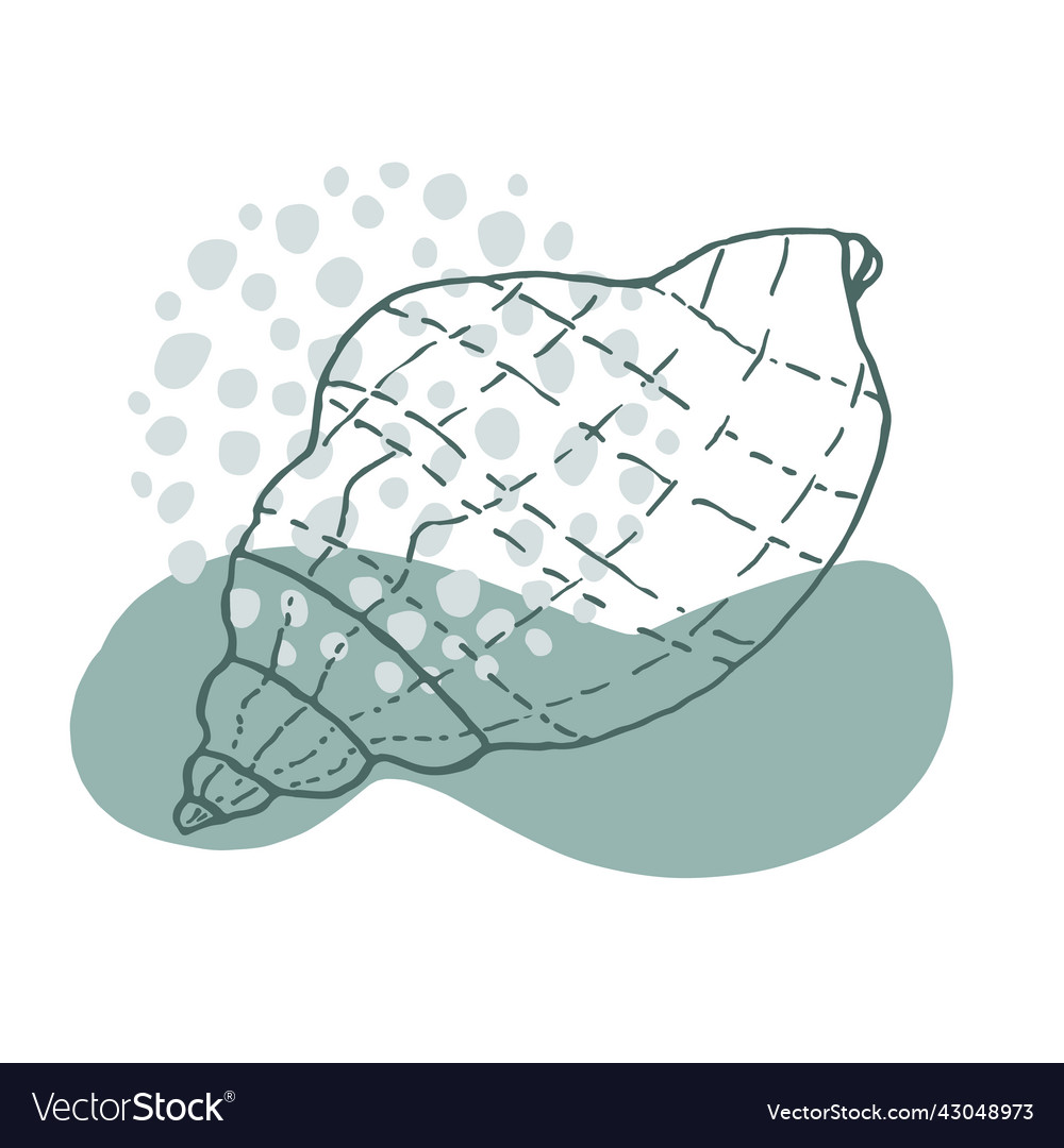 Hand-drawn seashell spiral with a texture of many vector image Hand-drawn seashell spiral with a texture of many