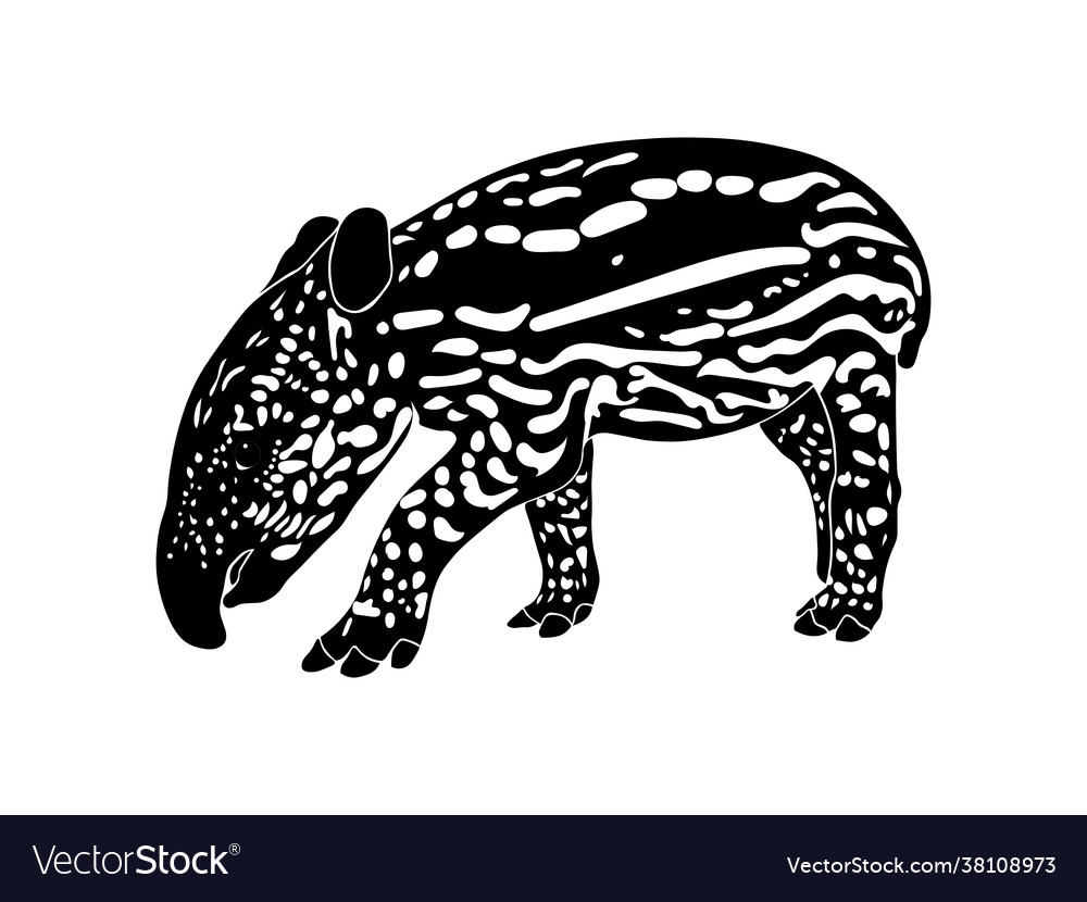 Tapir