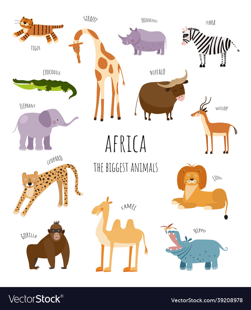 Collection with biggest african animals Royalty Free Vector