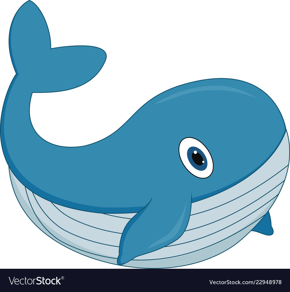 Whale Pictures Cartoon Free For Commercial Use High Quality Images