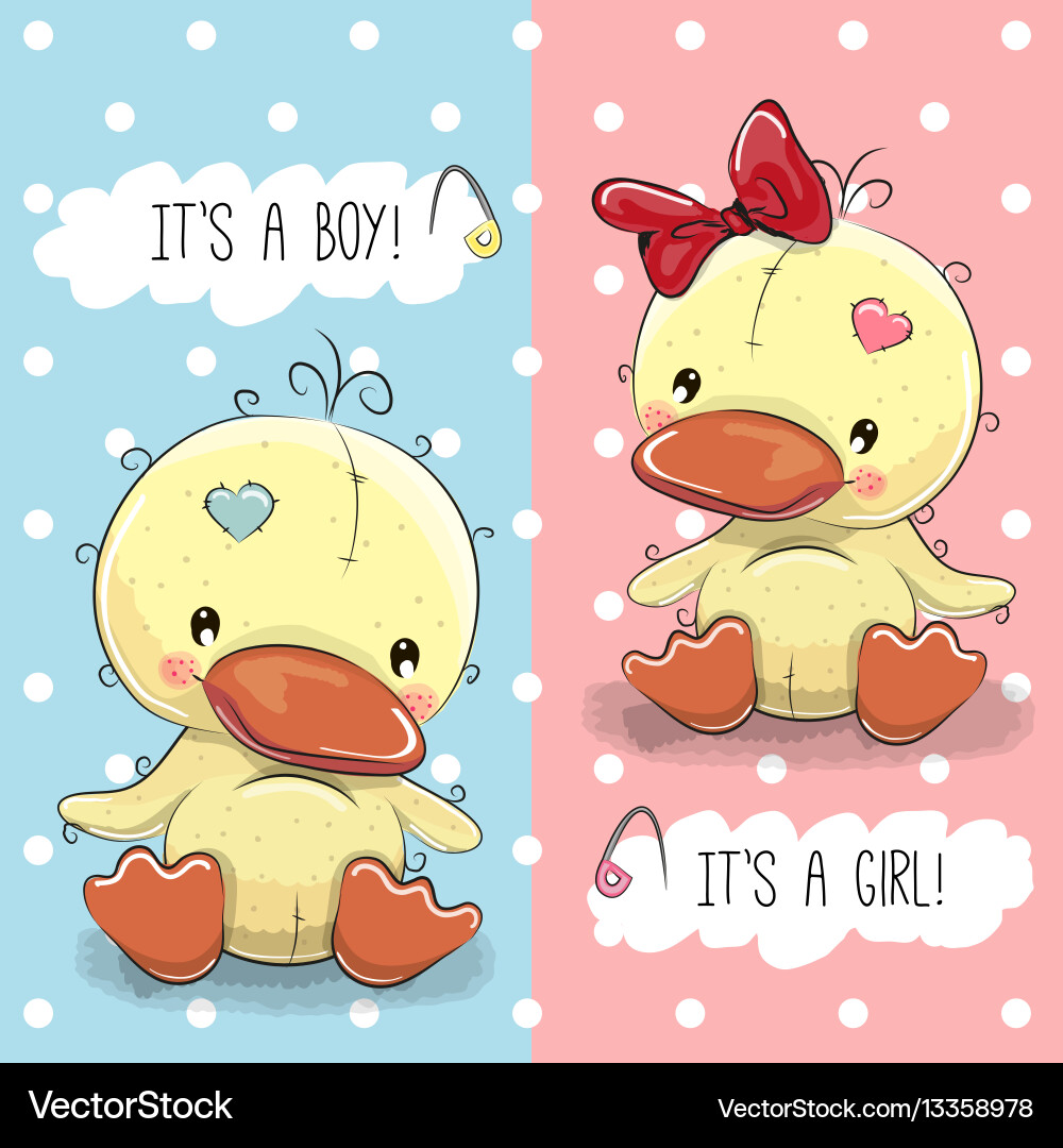 Ducks boy and girl Royalty Free Vector Image VectorStock