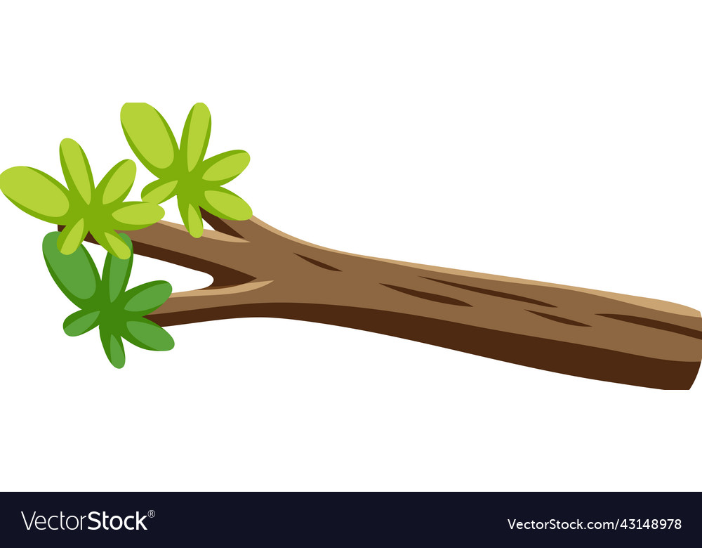 Isolated branch of tree