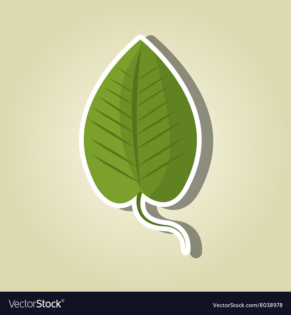 Blatt Icon Design