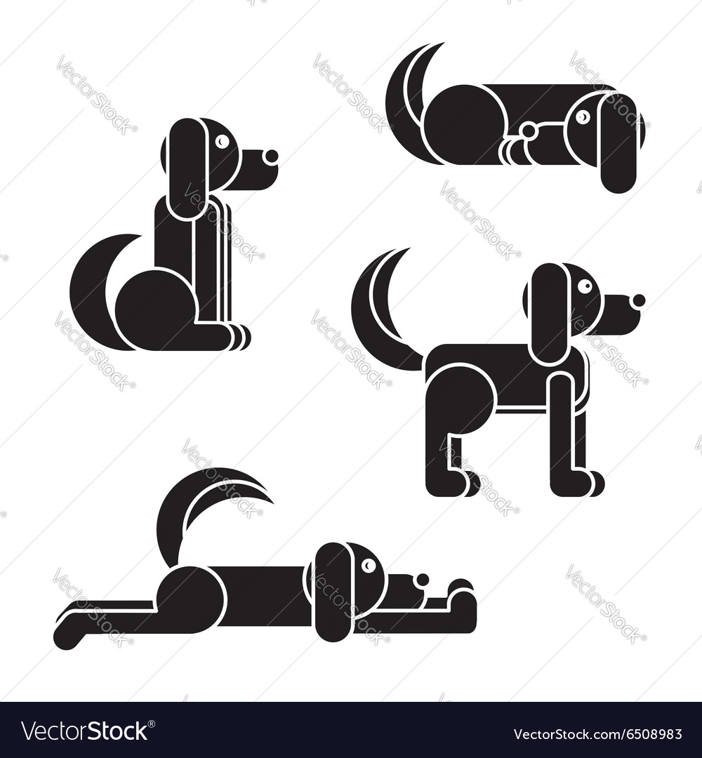 Dog in 4 positions