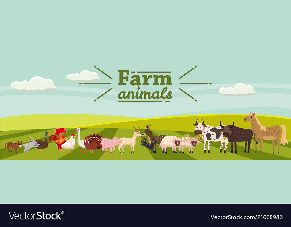 Farm animals and birds set in trendy cute style