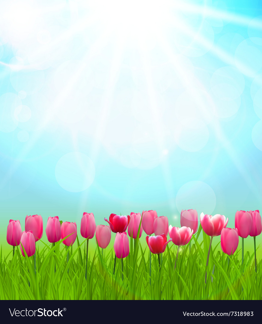 Natural sunny background