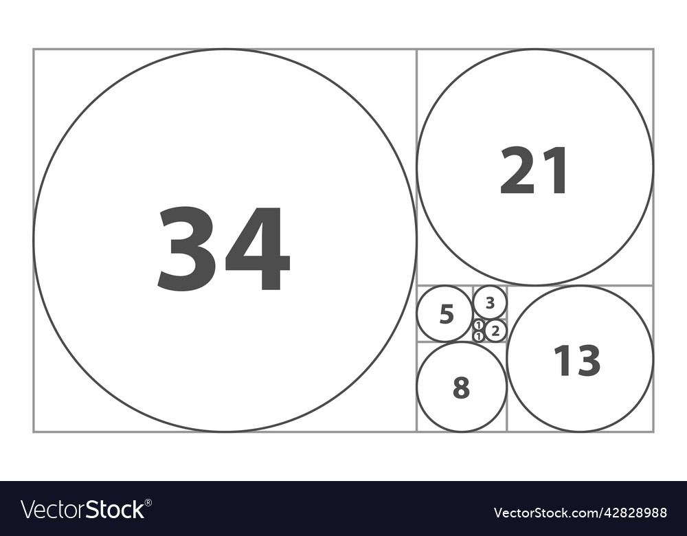 Fibonacci sequence of circles golden ratio vector image Fibonacci sequence of circles golden ratio