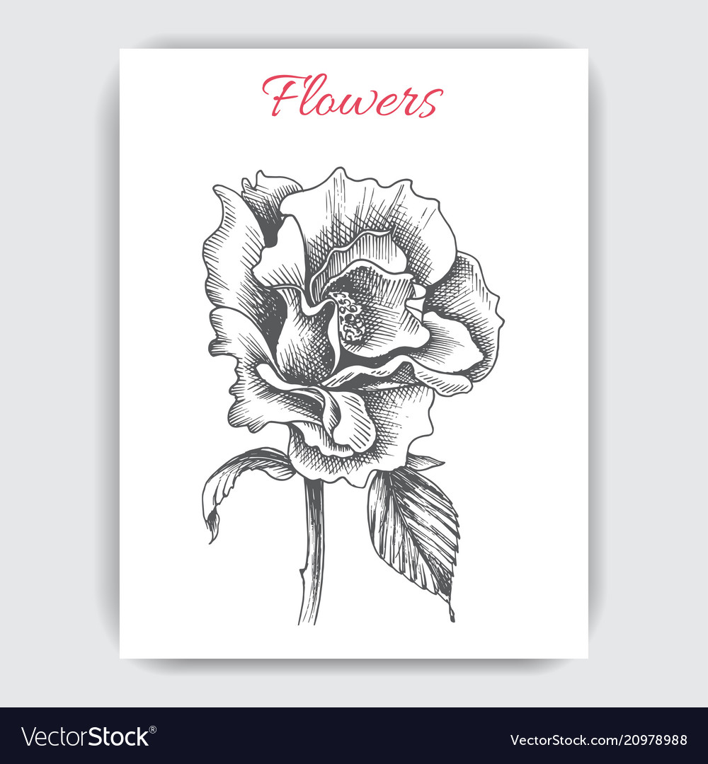 Sketch - card with flowers