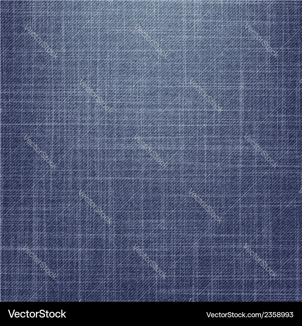 Jeans Texture Version 3 Royalty Free Vector Image