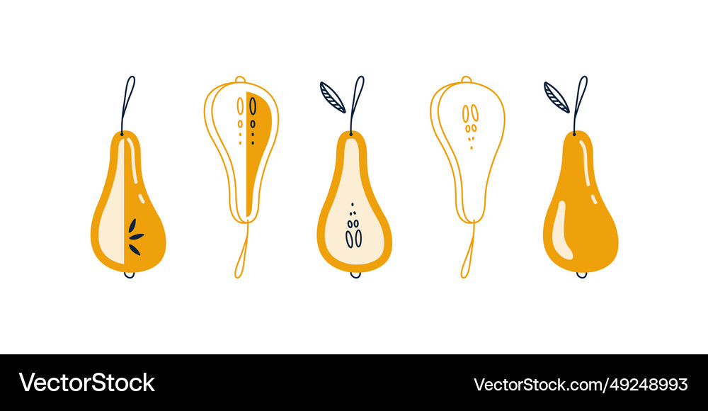 Stylish pears set Royalty Free Vector Image - VectorStock