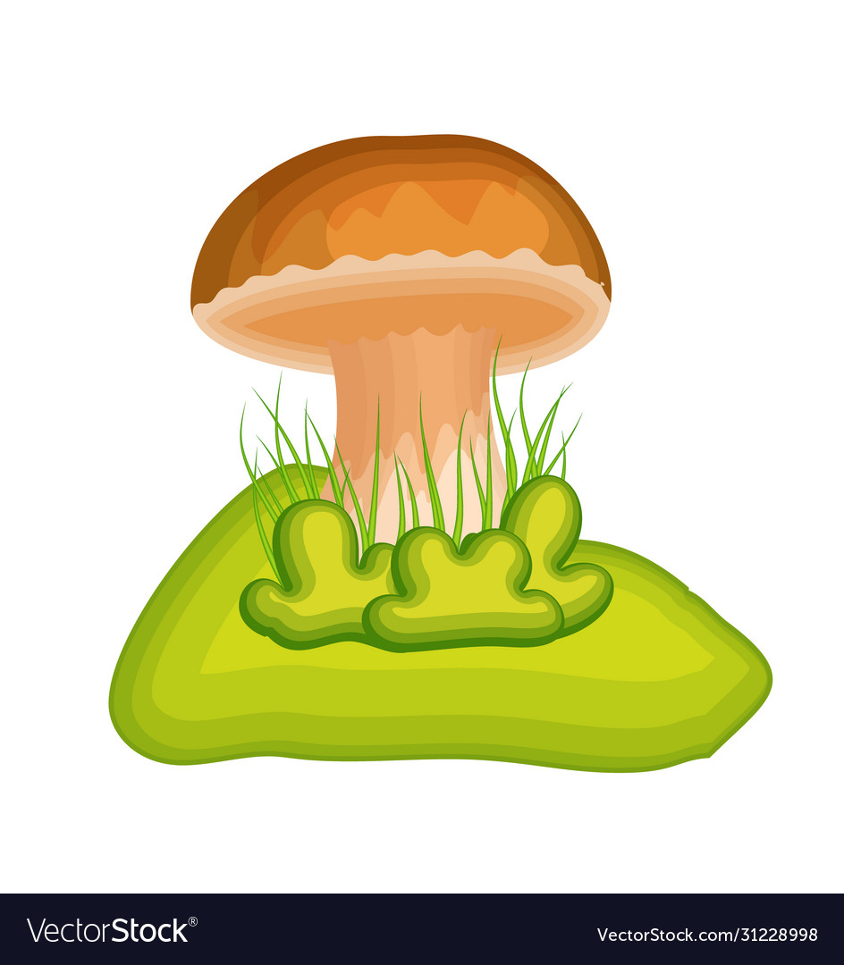 Cartoon mushroom with grass