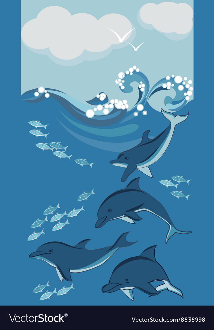 Dolphins and fish