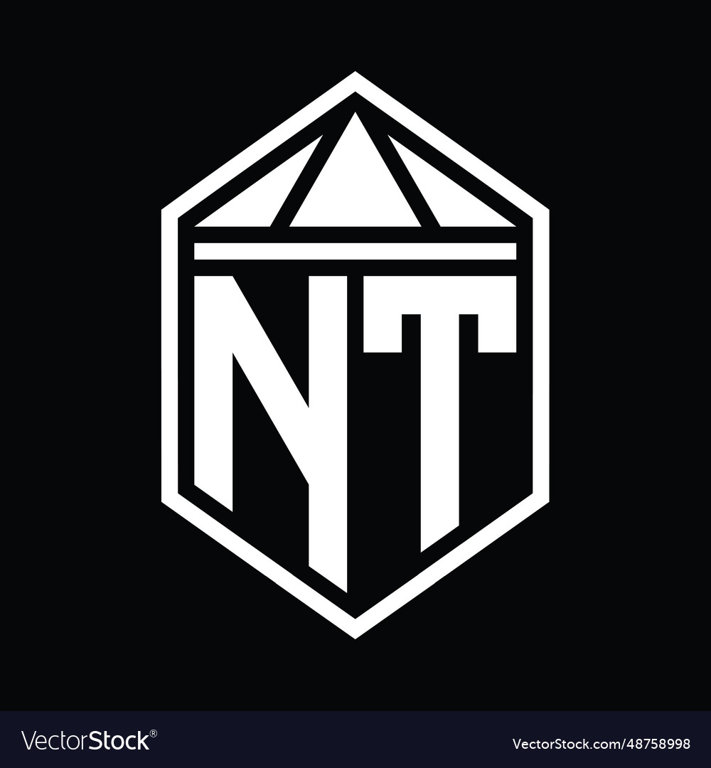 Nt letter logo monogram hexagon shield shape