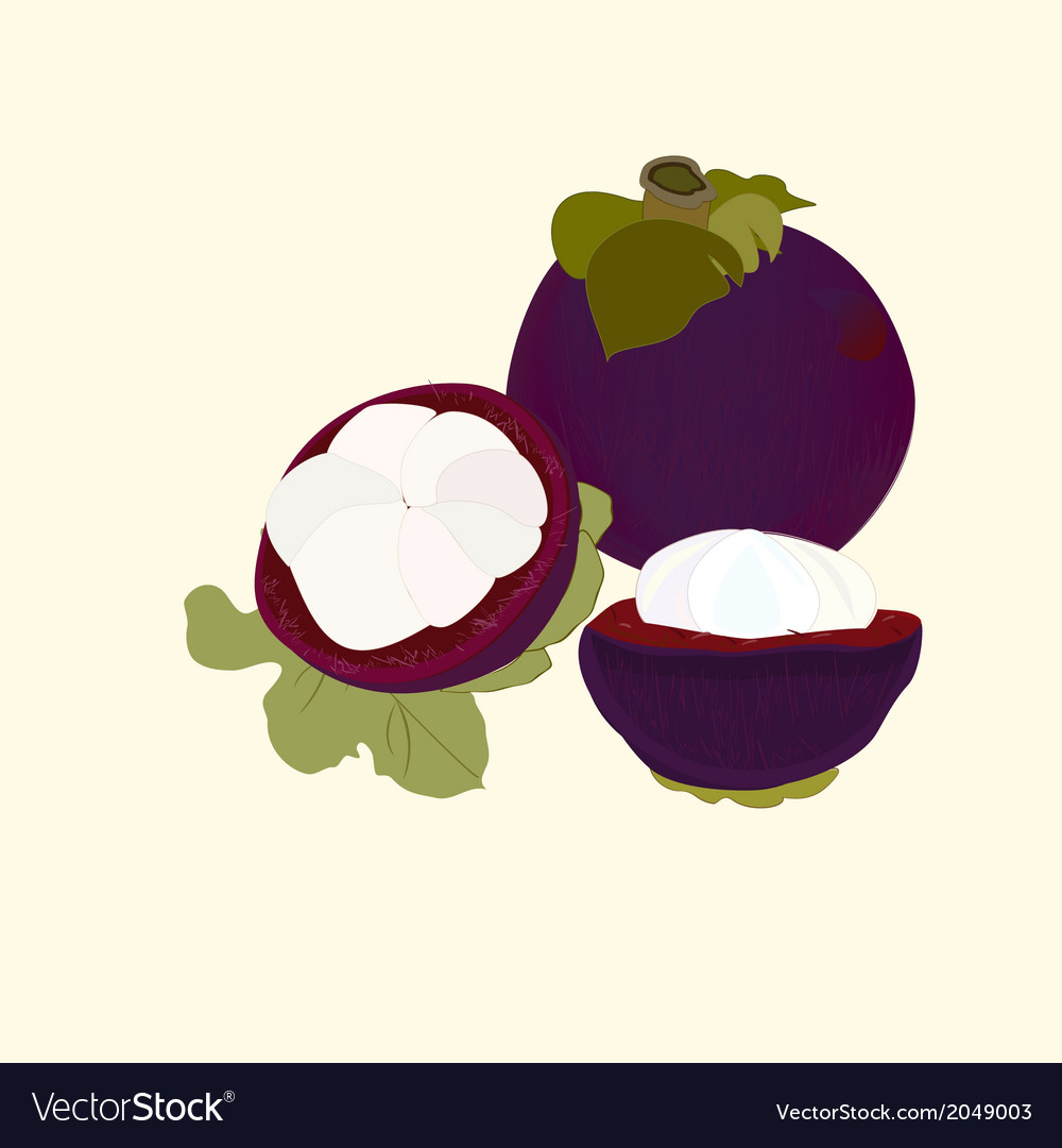 Mangosteen Früchte