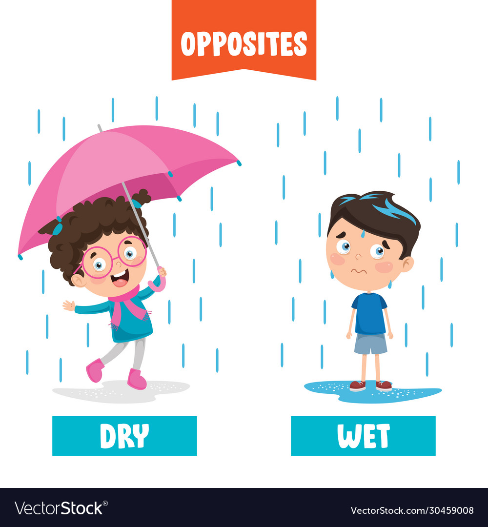 Dry and wet Royalty Free Vector Image - VectorStock