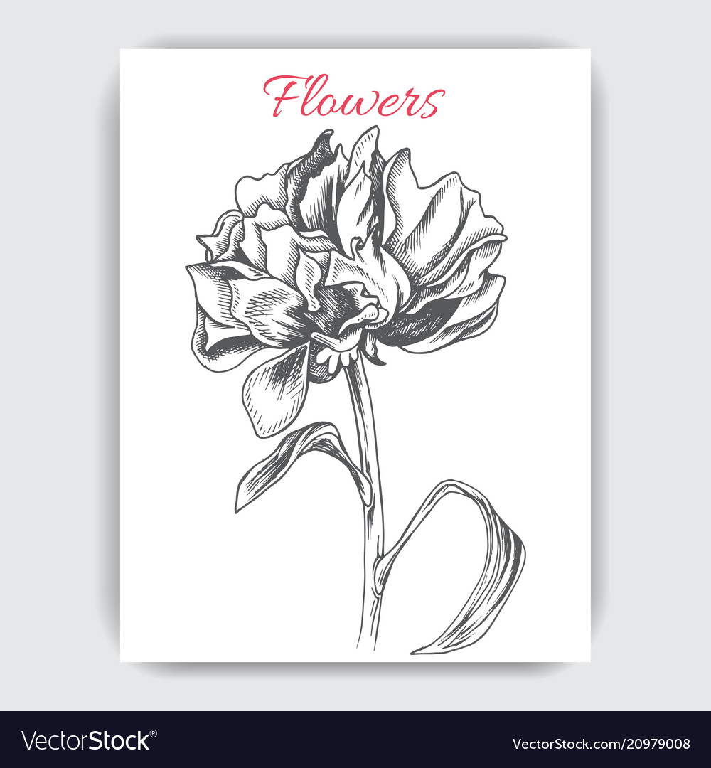 Sketch - card with flowers