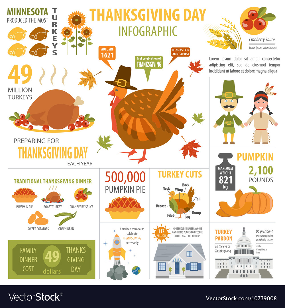 Thanksgiving day interesting facts in infographic Vector Image