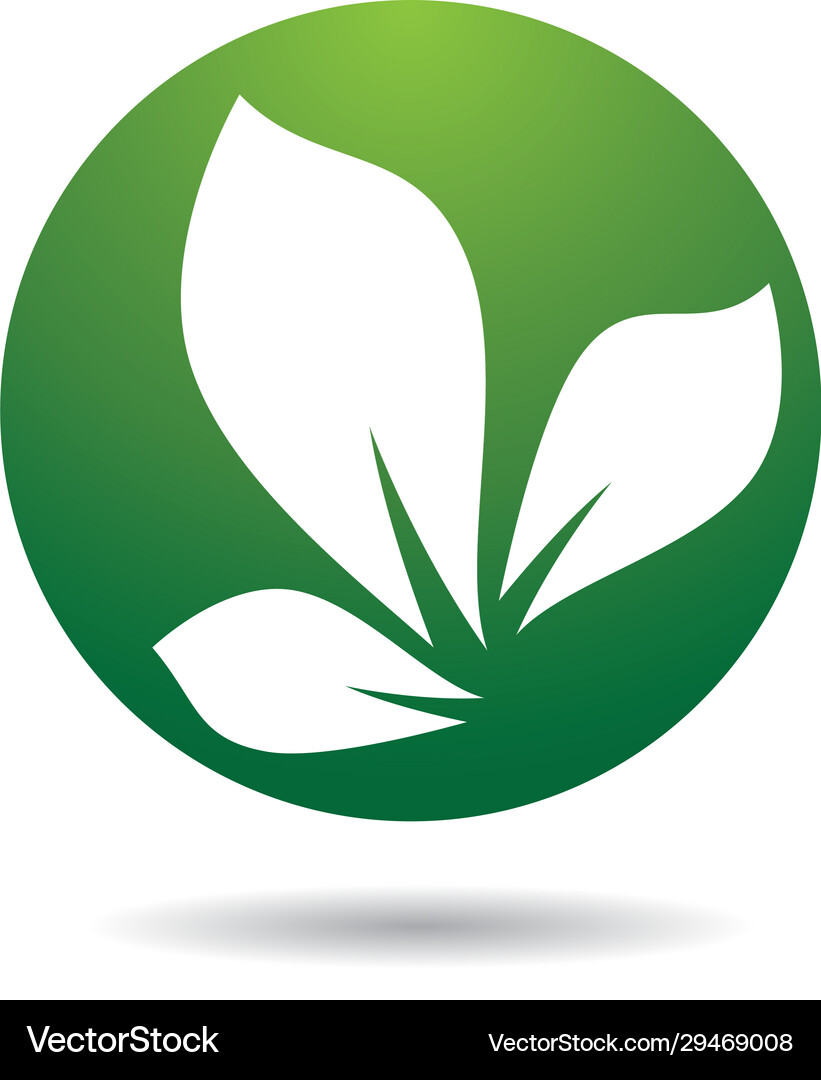Tree logo template icon Royalty Free Vector Image