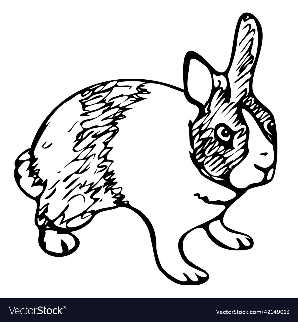 Rabbit hand drawn bunny Royalty Free Vector Image