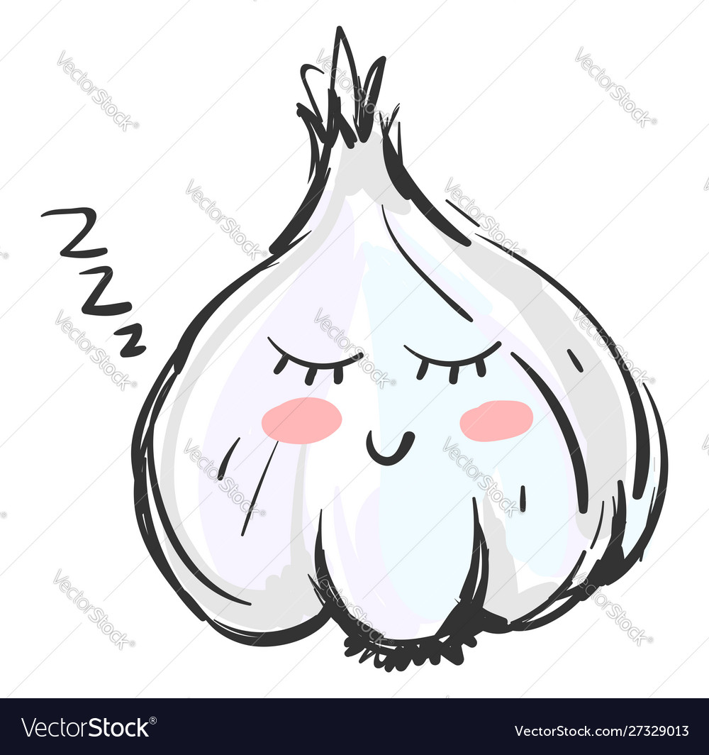 Sleeping garlic on white background