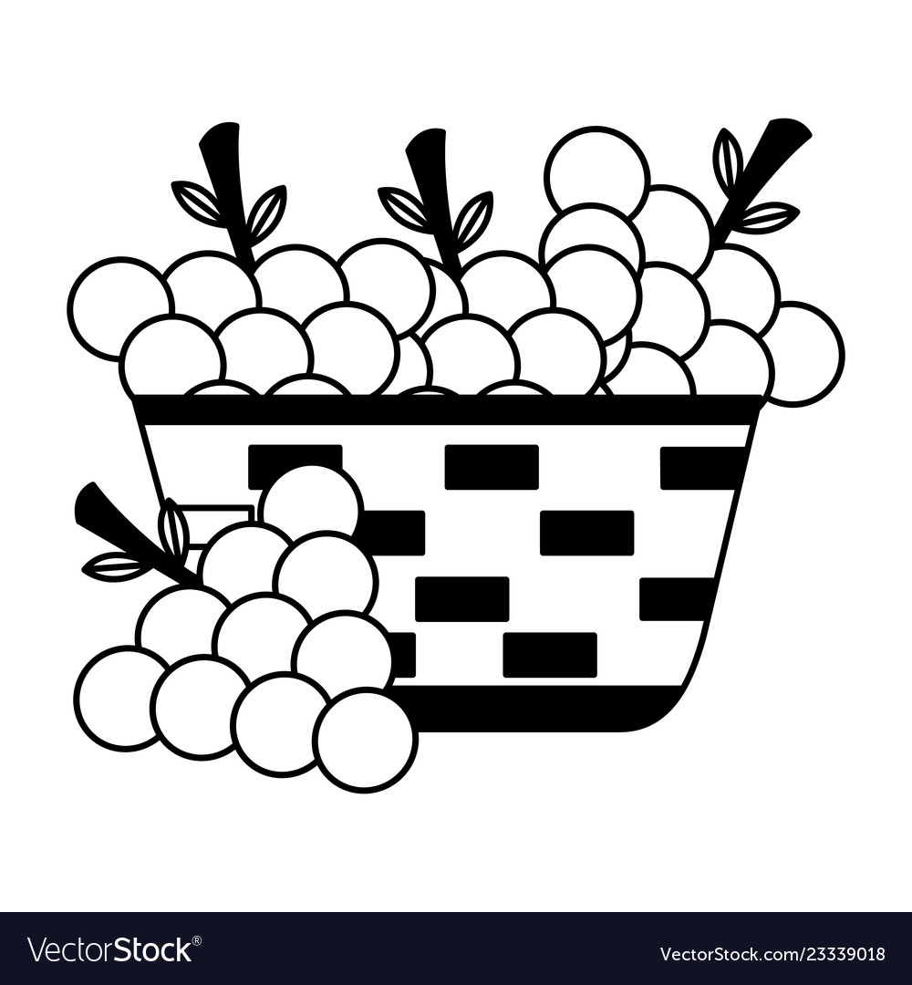 Wicker basket with fresh grapes