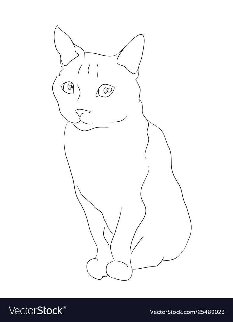 How To Draw A Cat For Beginners [Video Tutorial]