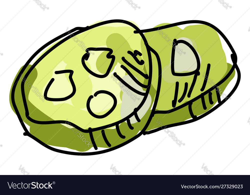 Cutten cucumber on white background