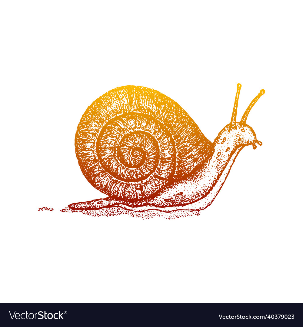 Dotwork snail slippery gradient vector image Dotwork snail slippery gradient