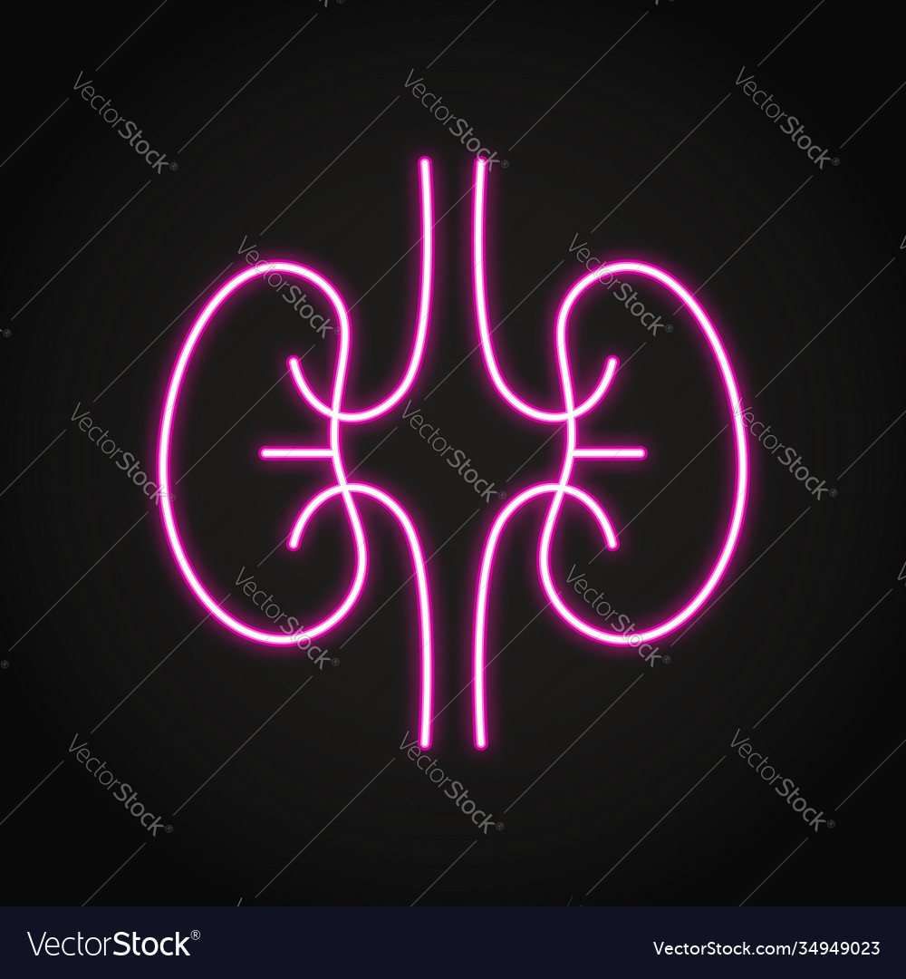 Neon human kidneys icon in line style vector image Neon human kidneys icon in line style