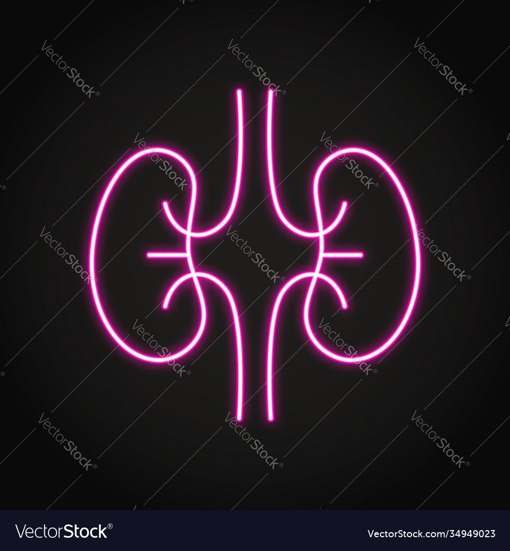 Neon human kidneys icon in line style