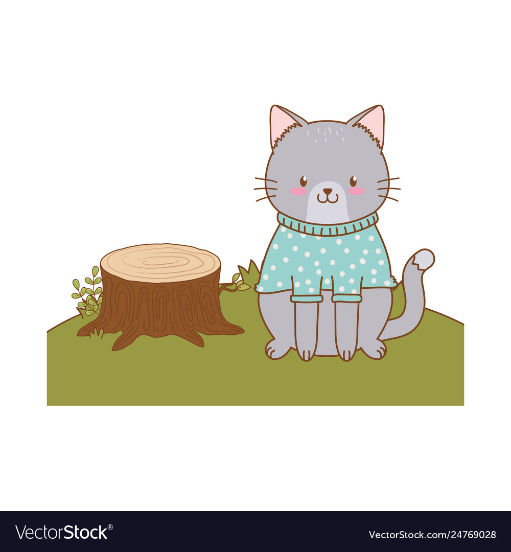 Cute cat in field woodland character