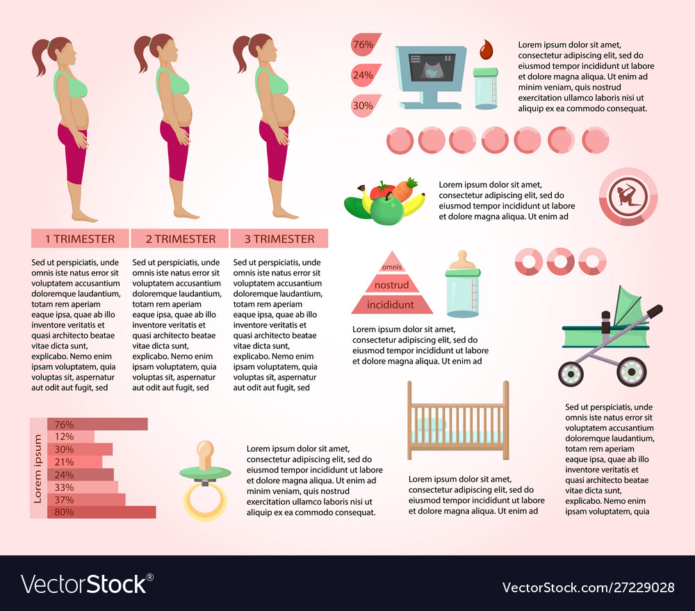 Pregnancy information article page template