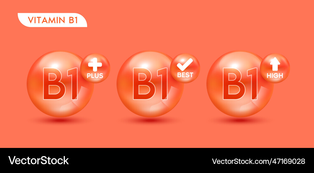Vitamin b1 orange set vitamins plus best high Vector Image