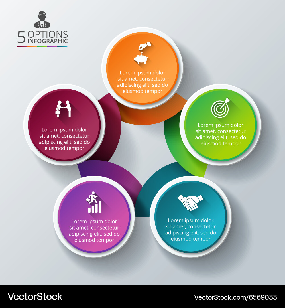 Circle infographic Royalty Free Vector Image - VectorStock