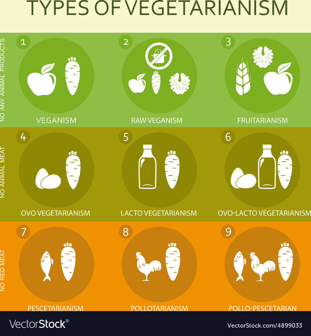 vegetarian-types-infographic-royalty-free-vector-image