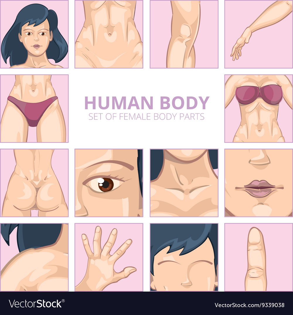 Female Body Parts In Cartoon Style Icons Vector Image