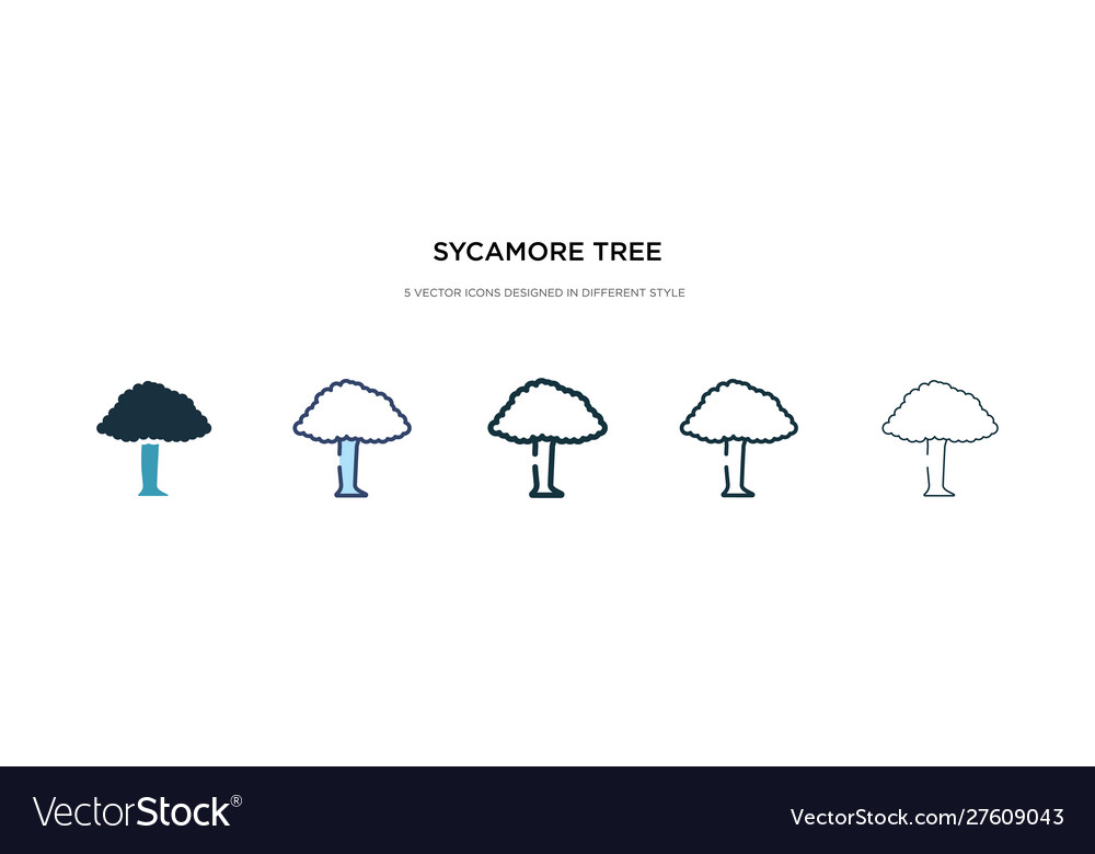 Sycamore tree icon in different style two Vector Image