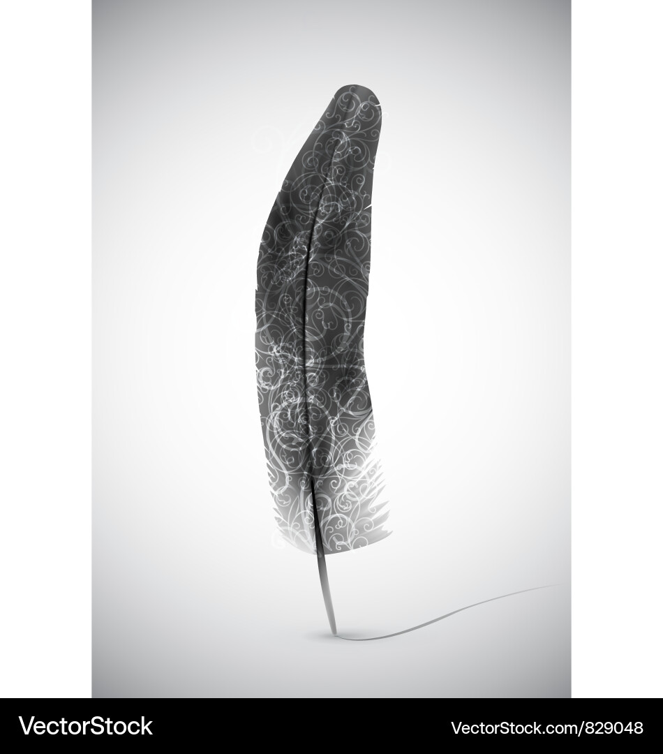 Feather Royalty Free Vector Image - VectorStock