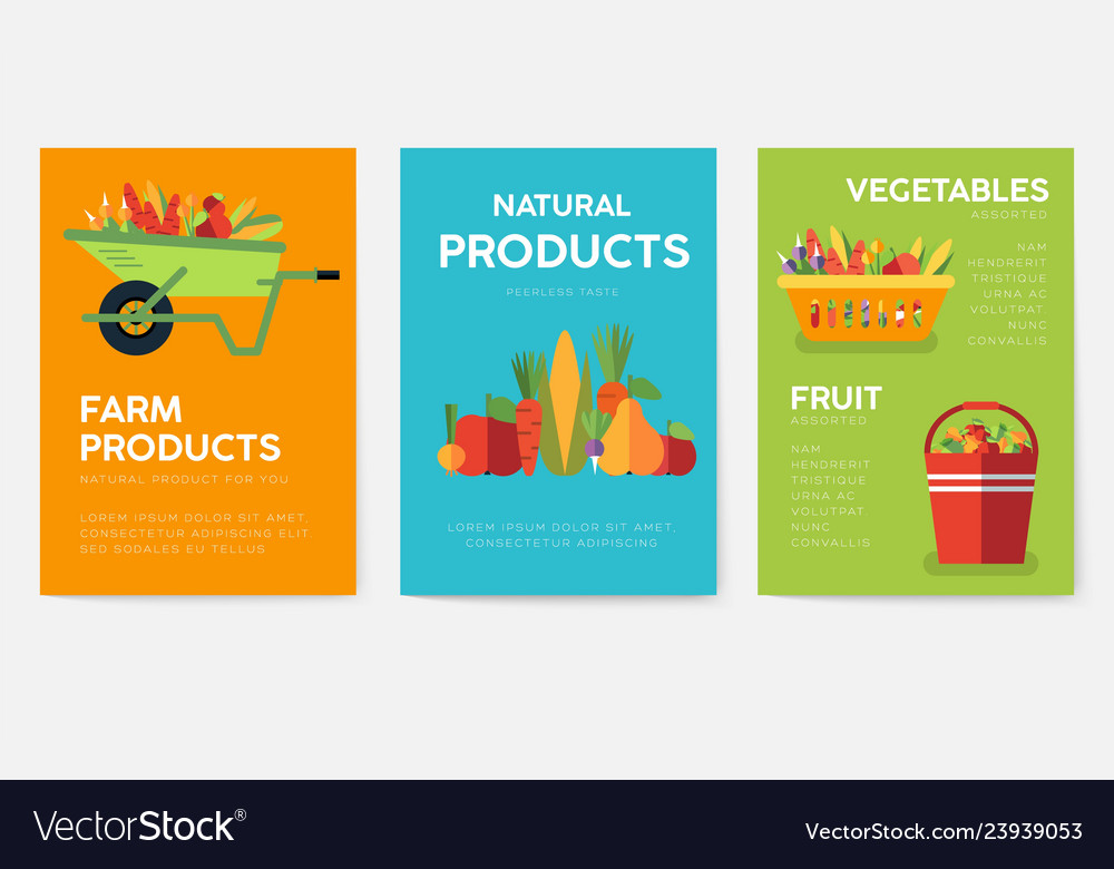 Farm information cards set nature template Vector Image