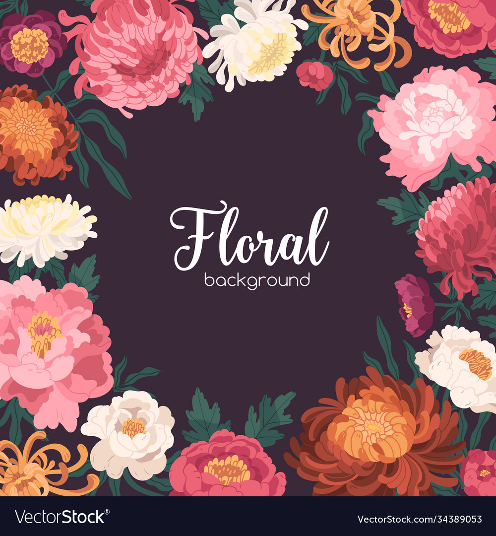 Floral Peony & Chrysanthemum Background