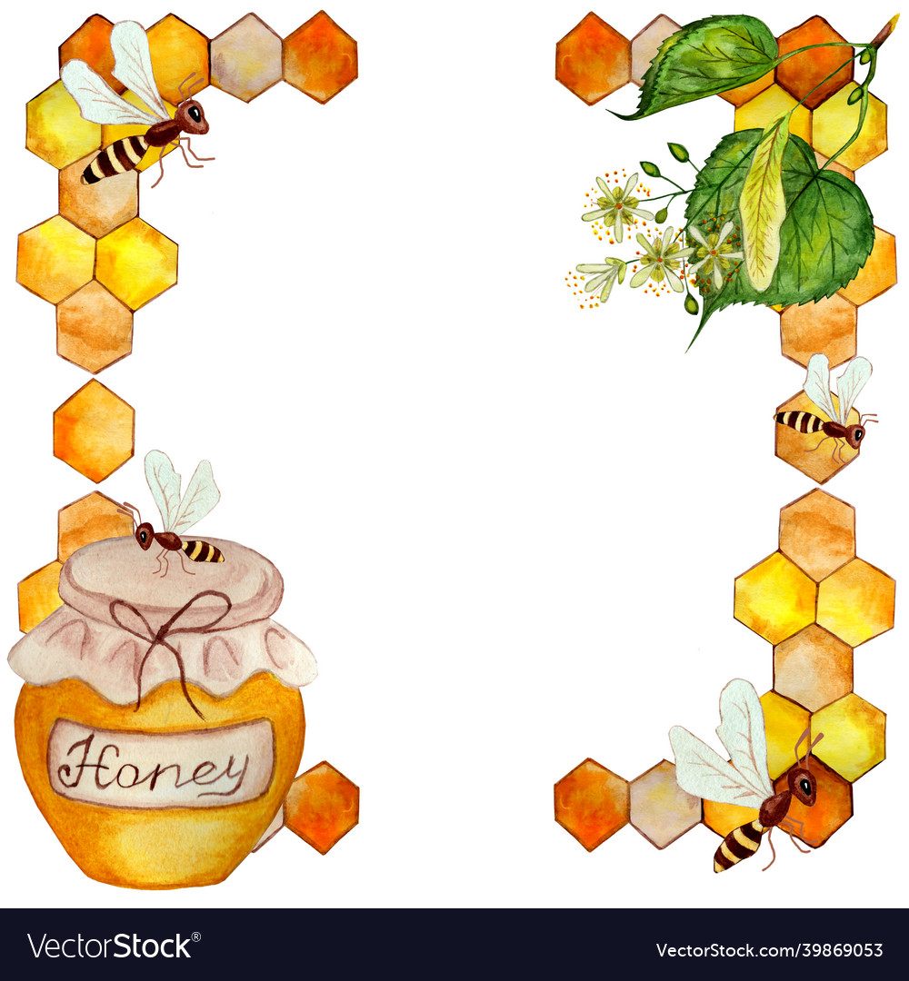 Frame with honeycombs a jar of honey linden Vector Image