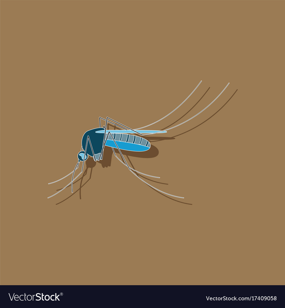 Paper sticker on background mosquito Royalty Free Vector
