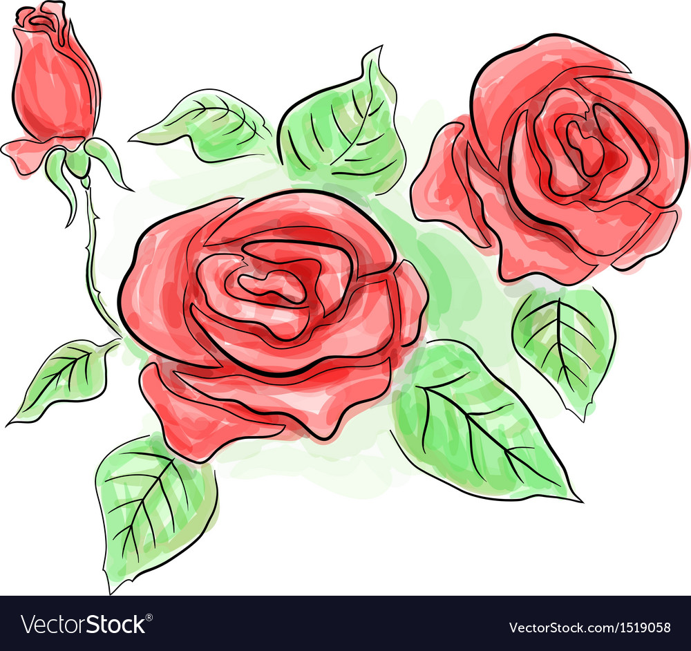 Sketch red roses in transparent colors eps 10