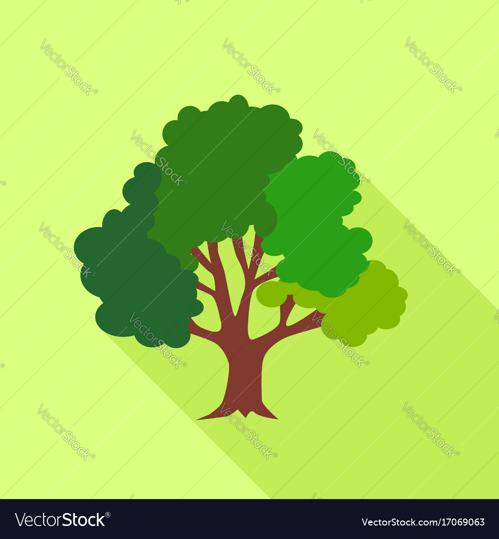 Big fluffy tree icon flat style Royalty Free Vector Image