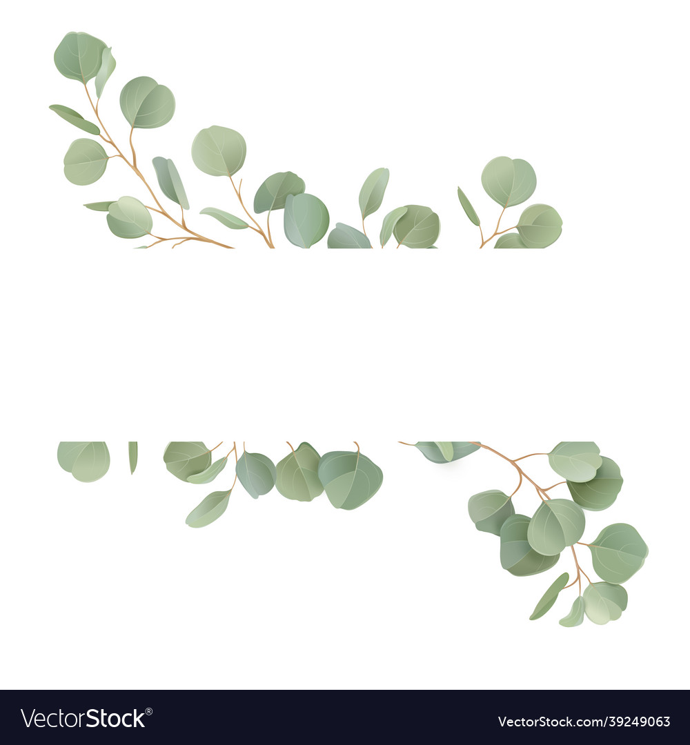 Boho realistic eucalyptus floral wedding Vector Image