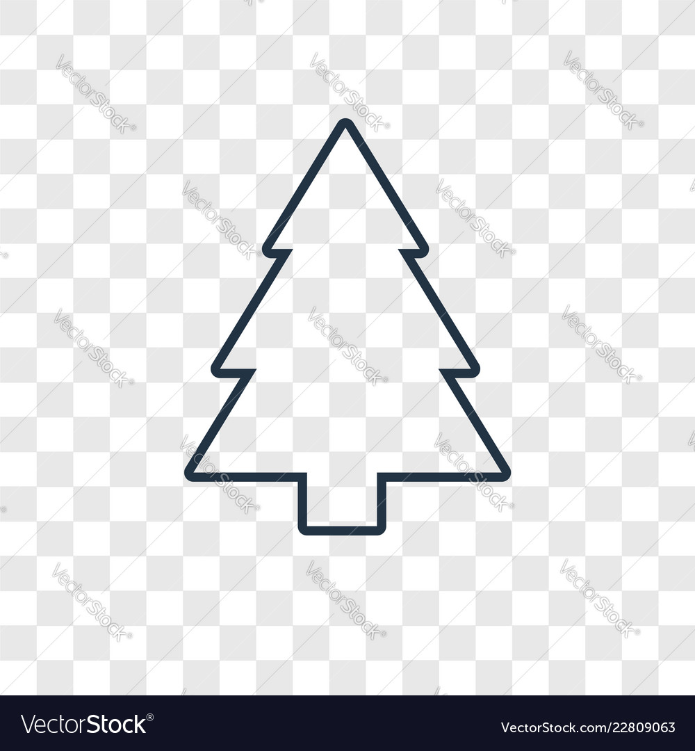 Pine concept linear icon isolated on transparent