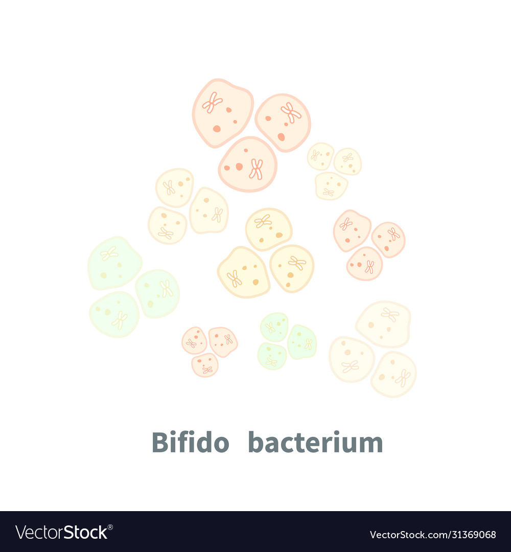 Bifidobacterium probiotics on white