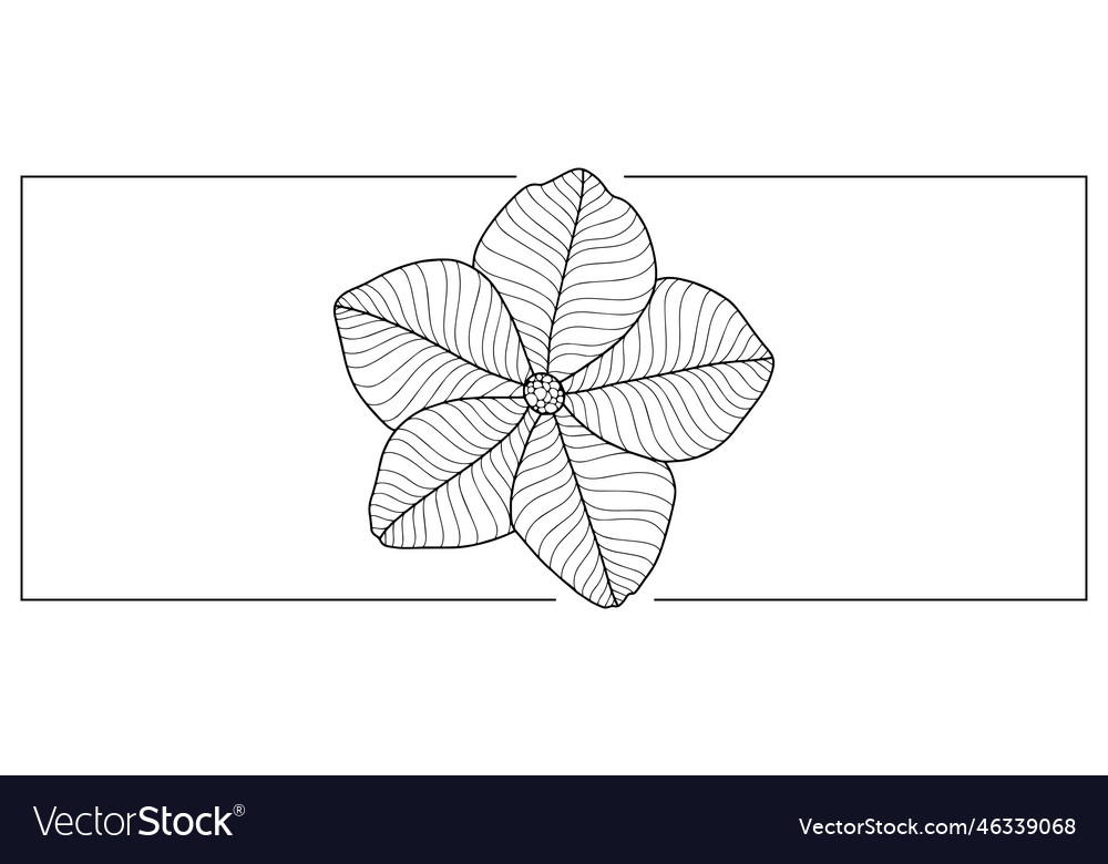 Black and white floral Royalty Free Vector Image