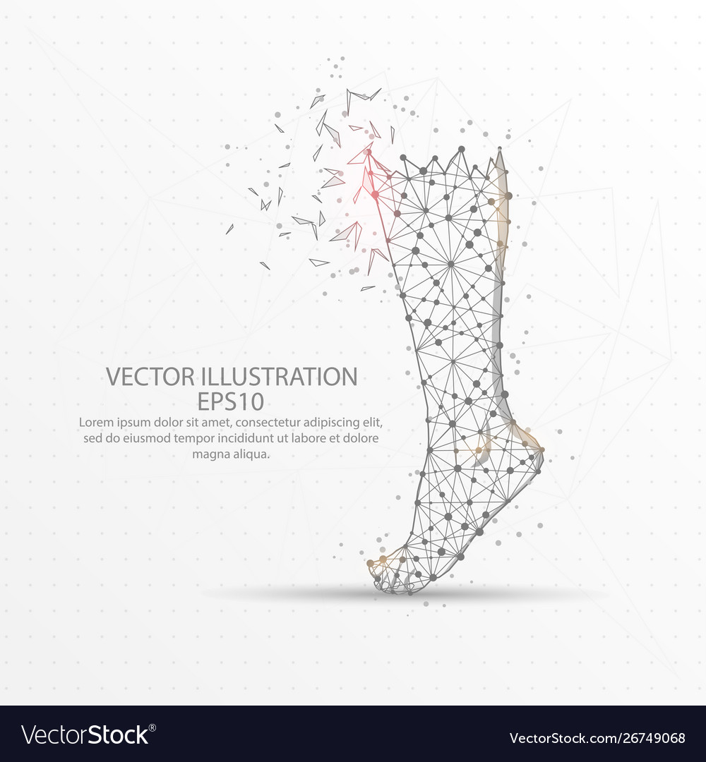 Human leg low poly wire frame on white background vector image Human leg low poly wire frame on white background